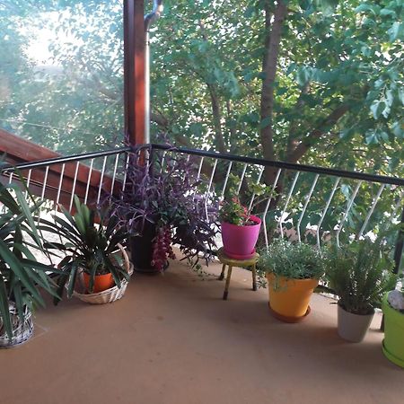 Apartmani Corleone Bilice Bagian luar foto